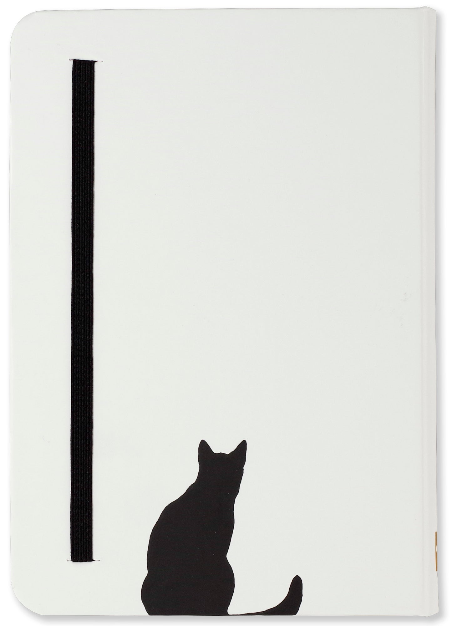 Curious Cat Journal