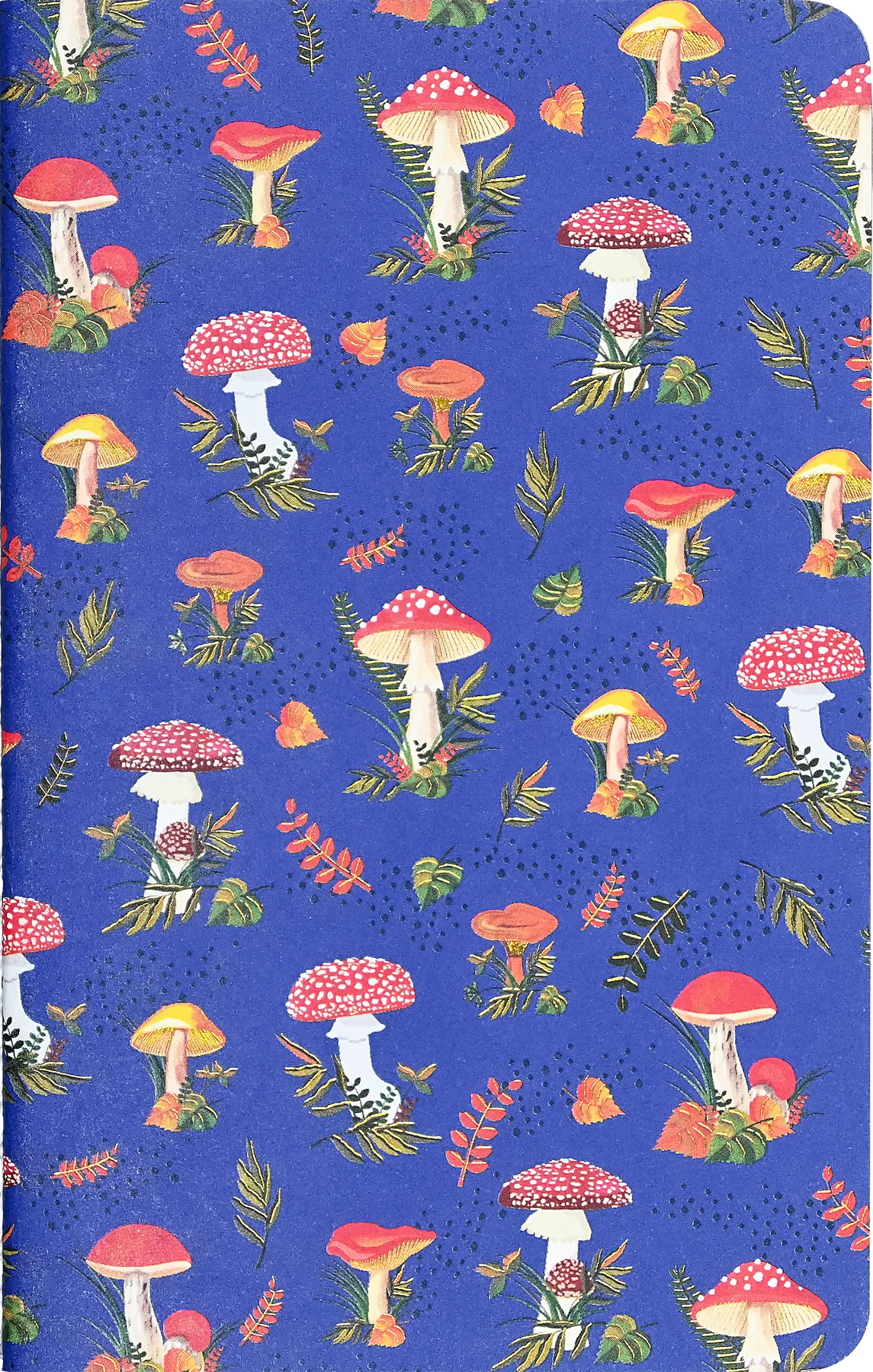 Jotter Mini Notebook Sets: Mushrooms