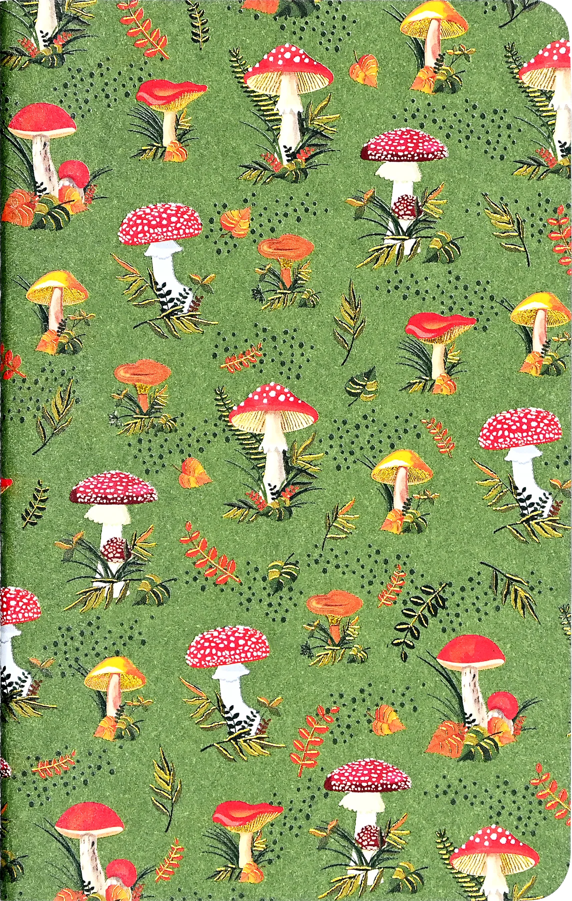 Jotter Mini Notebook Sets: Mushrooms