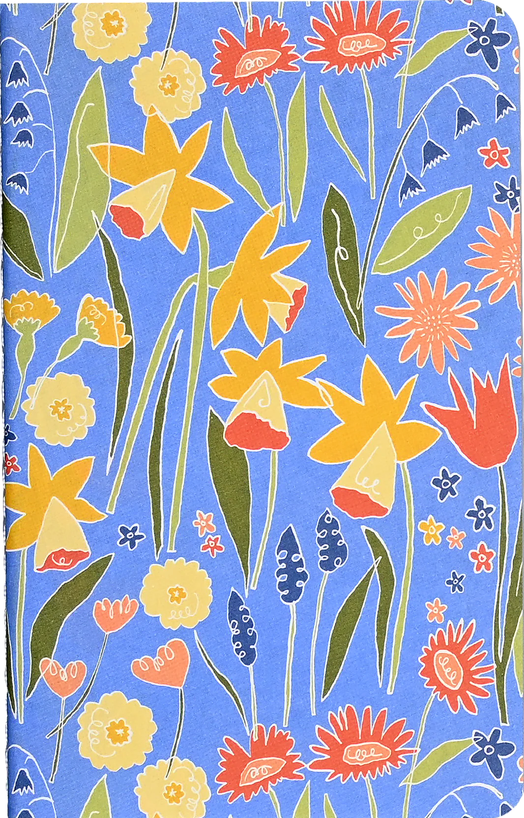 Daffodils Jotter Notebooks