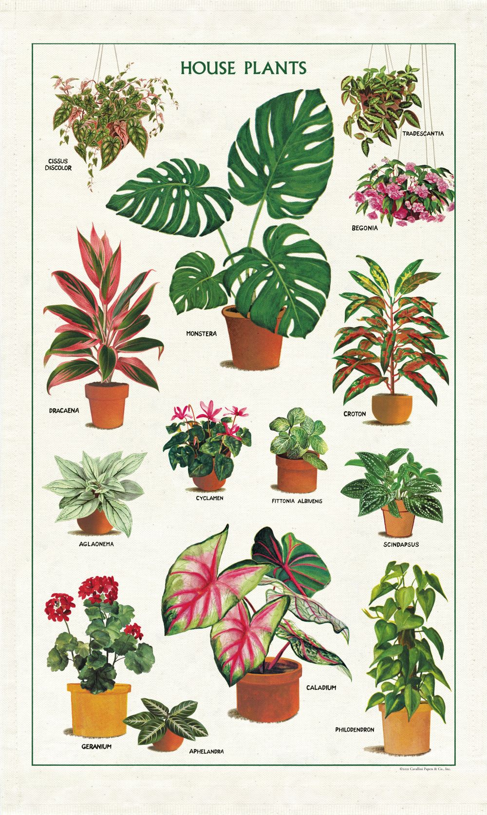 Cavallini Tea Towel - House Plants