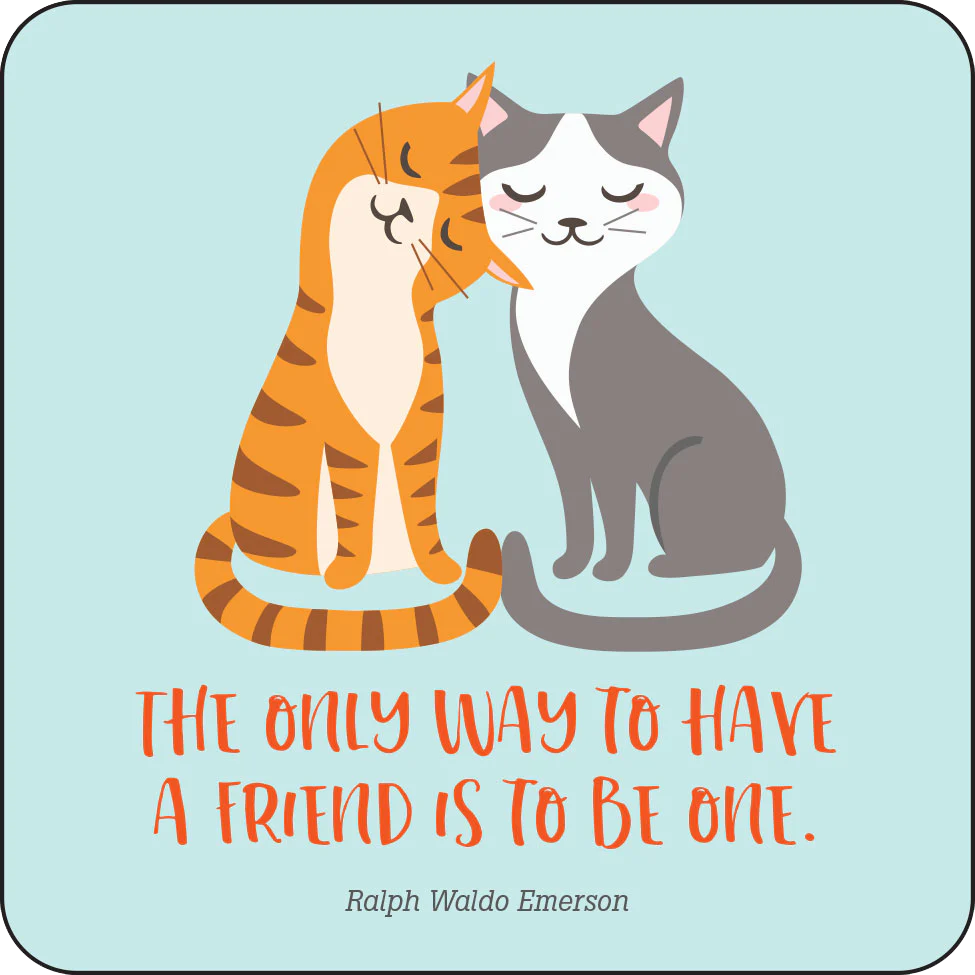 Kindness Lunch Box Notes for Kids! (Set of 60 Cards)