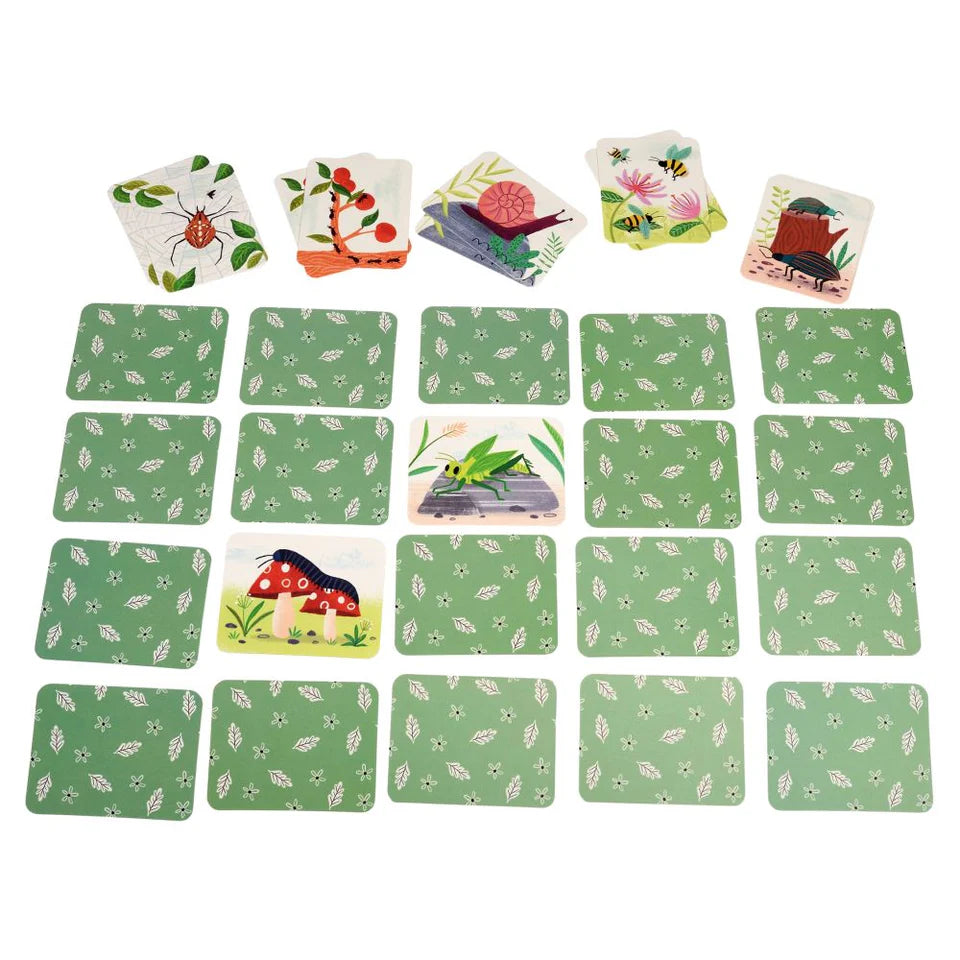 Rex London Memory Game - Wonders of Nature