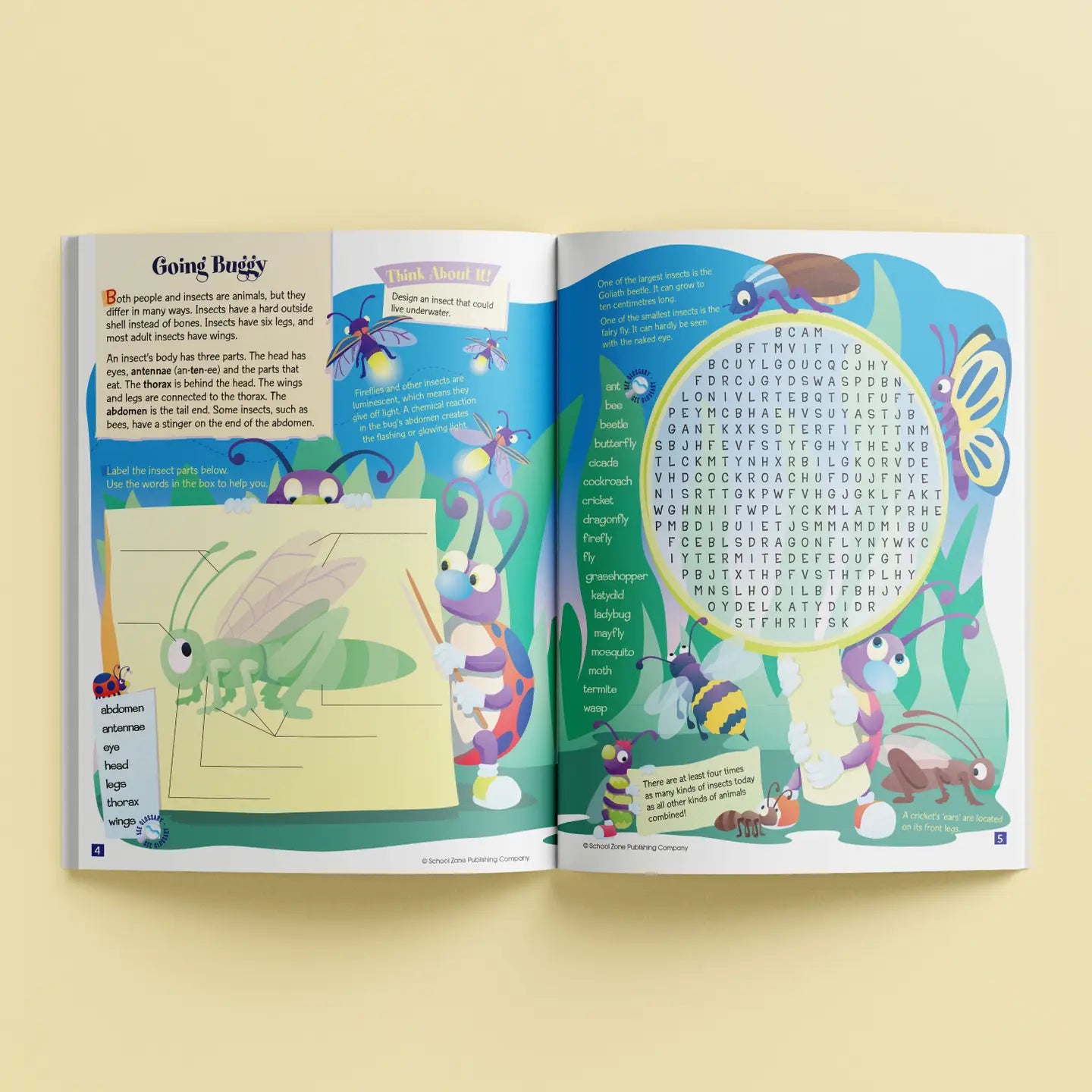 School Zone Activity Zone Word Searches